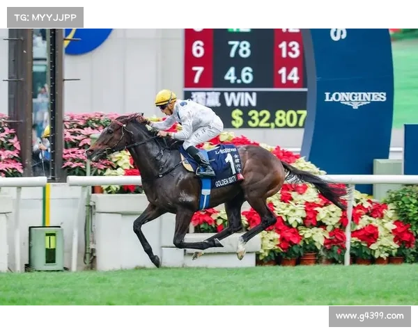 香港赛马会赛事资料一赛事资讯